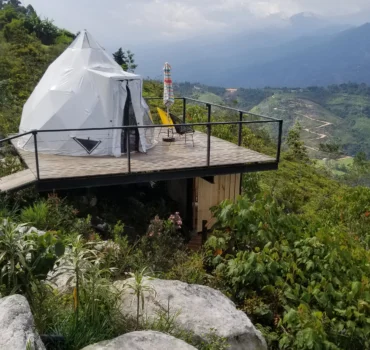 satori-370×350